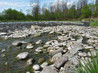 řeka Morávka