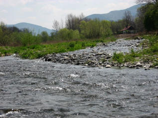 řeka Morávka